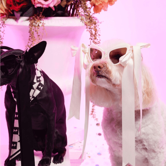 NEW! Karen Walker Bow Wow ivory sunglasses main image 4